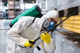 Best Pest Prevention Services  in San Ysidro, NM